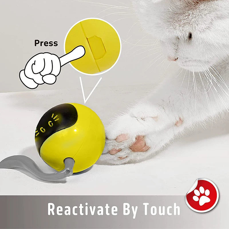 Smart Interactive Cat Toy – Dynamic LED Self-Rotating Ball - Happy Tail Center