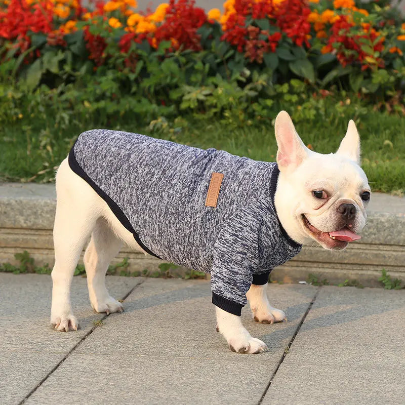 Winter Hoodies & Sweaters for Small to Medium Dogs - Warm Clothing for French Bulldog, Chihuahua, Yorkie - Happy Tail Center