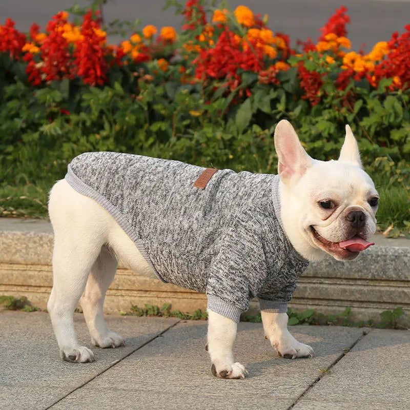 Winter Hoodies & Sweaters for Small to Medium Dogs - Warm Clothing for French Bulldog, Chihuahua, Yorkie - Happy Tail Center