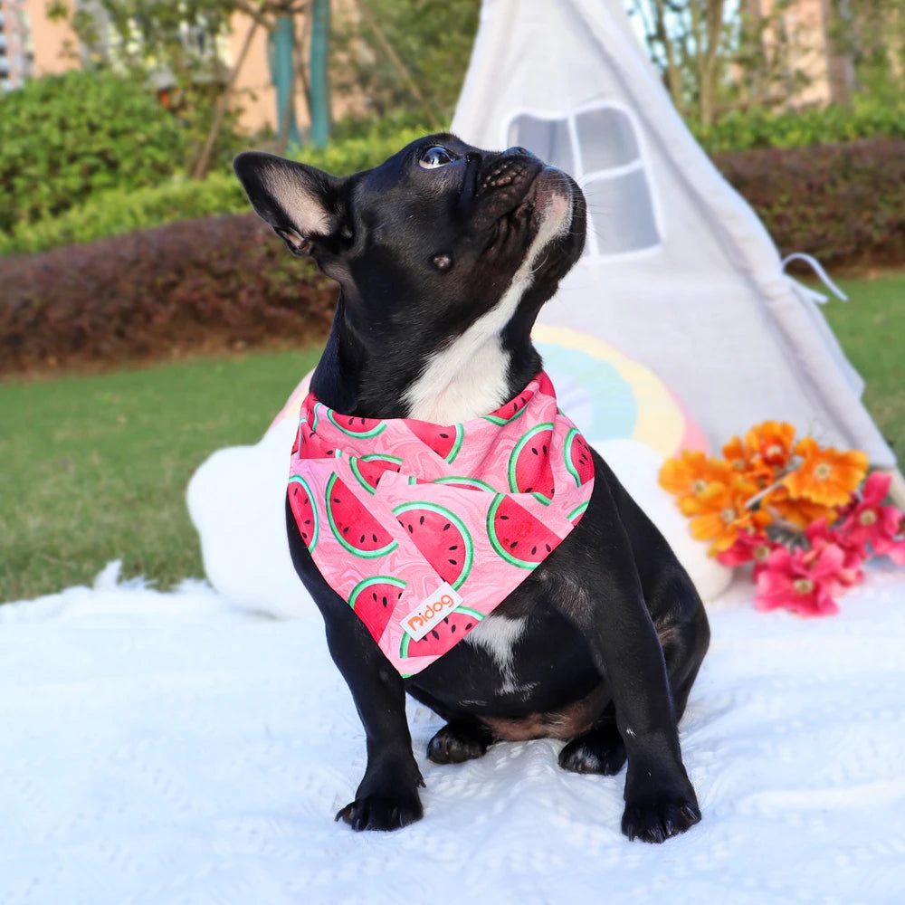 Printed Cotton Dog Bandana Scarf - Pet Collar Scarf for Small to Medium Dogs and Cats