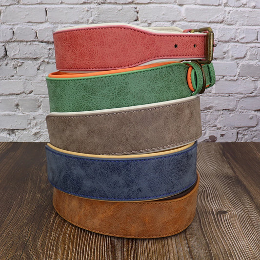 Wide Leather Dog Collar - Padded Collar for Medium to Large Dogs