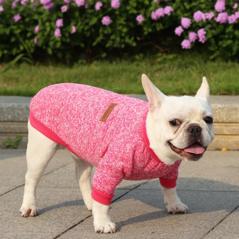 Winter Hoodies & Sweaters for Small to Medium Dogs - Warm Clothing for French Bulldog, Chihuahua, Yorkie - Happy Tail Center