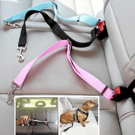 Adjustable Dog Leash & Car Seat Belt | Safe Walks and Car Rides for All Dog Sizes - Happy Tail Center