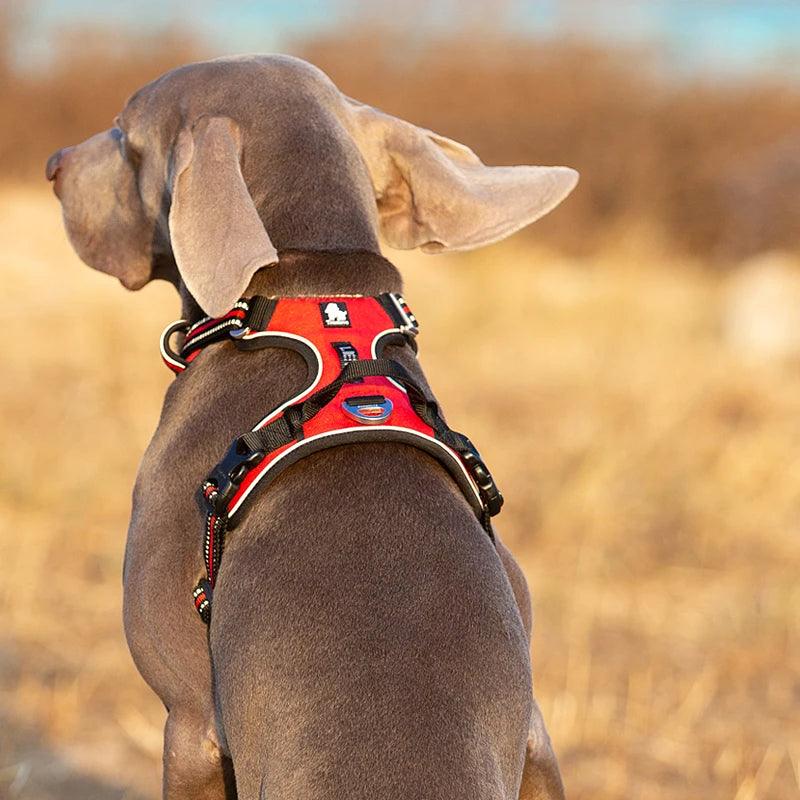 Reflective Nylon Dog Harness - No-Pull, Adjustable, Safe for Medium to Large Breeds - Happy Tail Center