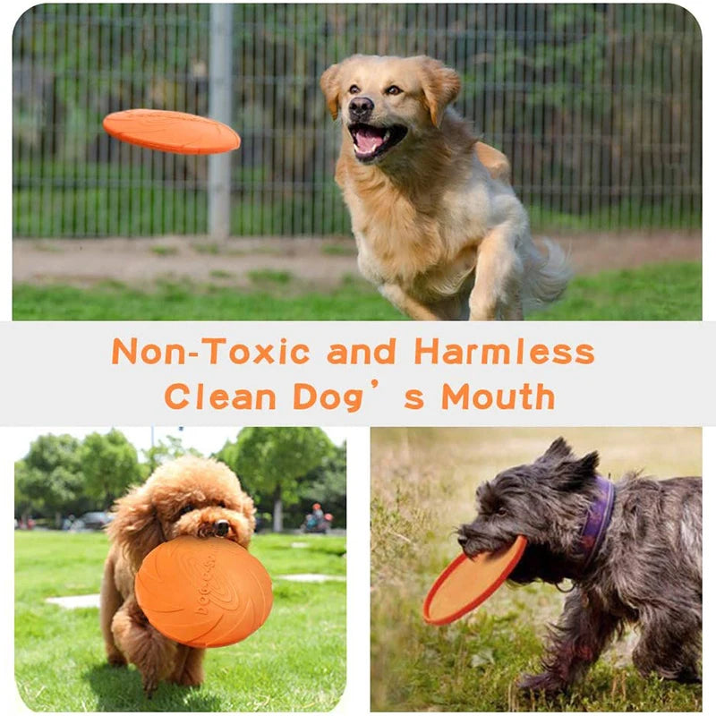 Interactive Flying Disc Dog Toy – Train and Play Outdoors with Your Pet! - Happy Tail Center