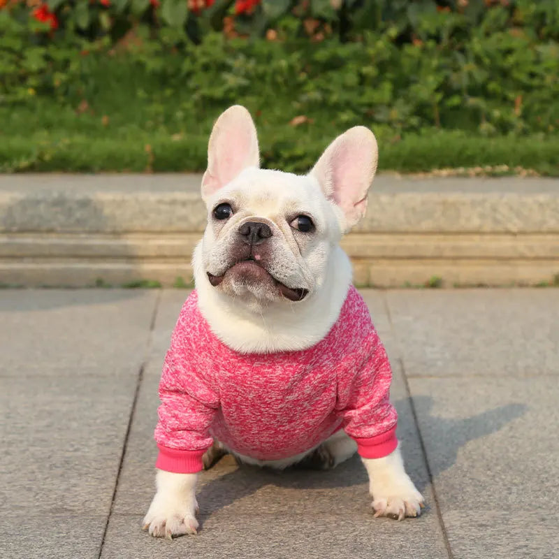 Winter Hoodies & Sweaters for Small to Medium Dogs - Warm Clothing for French Bulldog, Chihuahua, Yorkie - Happy Tail Center