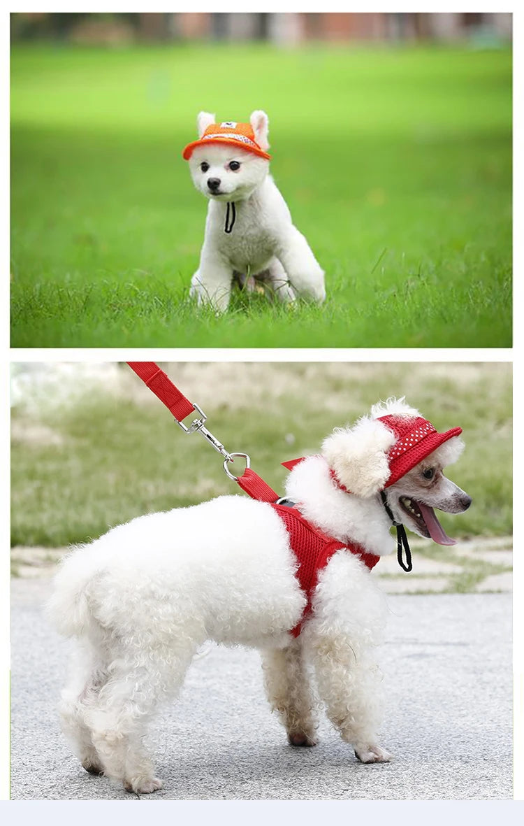 Stylish and Protected Fashionable Pet Dog Cap: Keep Your Pet Cool and Chic! - Happy Tail Center