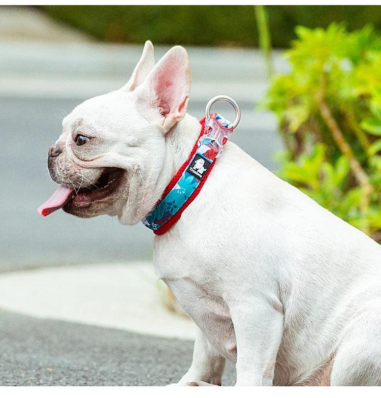 Floral Pet Collar with Best Padded Comfort Cushion – Ideal for Small, Medium, and Large Dogs! - Happy Tail Center