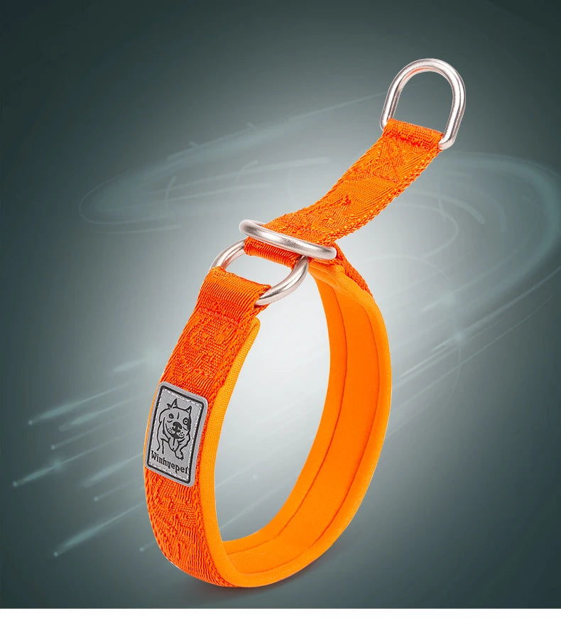 Nylon Webbing P-Chain Pet Collar – Ideal for Running and Training! - Happy Tail Center