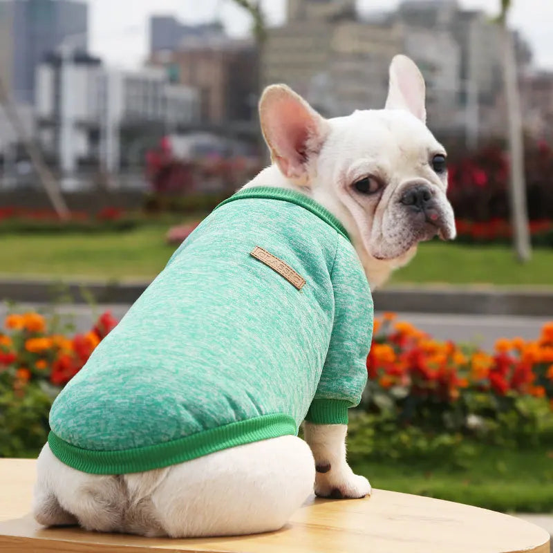 Winter Hoodies & Sweaters for Small to Medium Dogs - Warm Clothing for French Bulldog, Chihuahua, Yorkie - Happy Tail Center