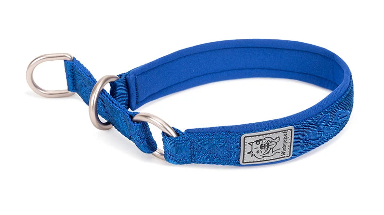 Nylon Webbing P-Chain Pet Collar – Ideal for Running and Training! - Happy Tail Center