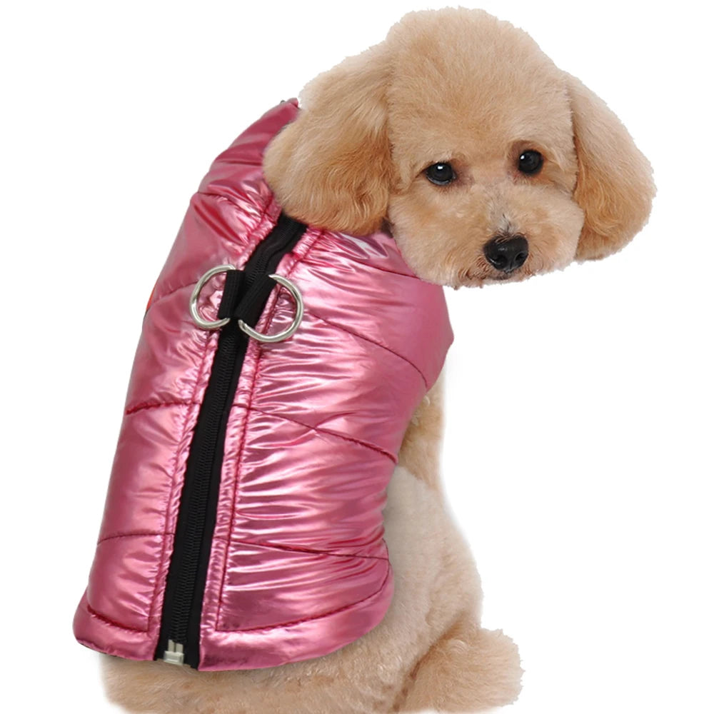 Waterproof Winter Jacket for Small Dogs: Keep Your Furry Friend Warm and Dry! - Happy Tail Center