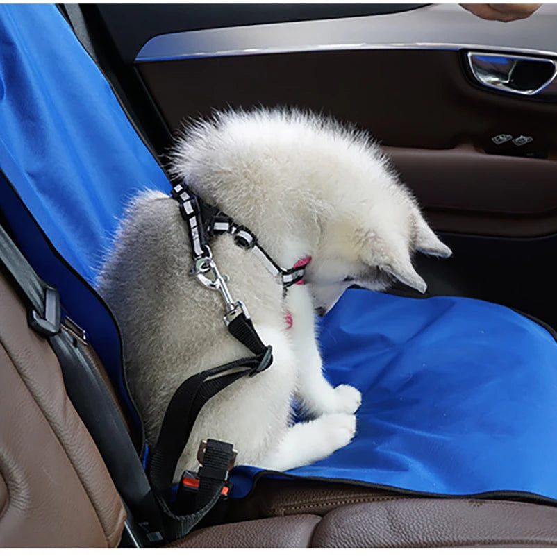 Waterproof Car Seat Cover Mat: Protect Your Car and Your Pet! - Happy Tail Center