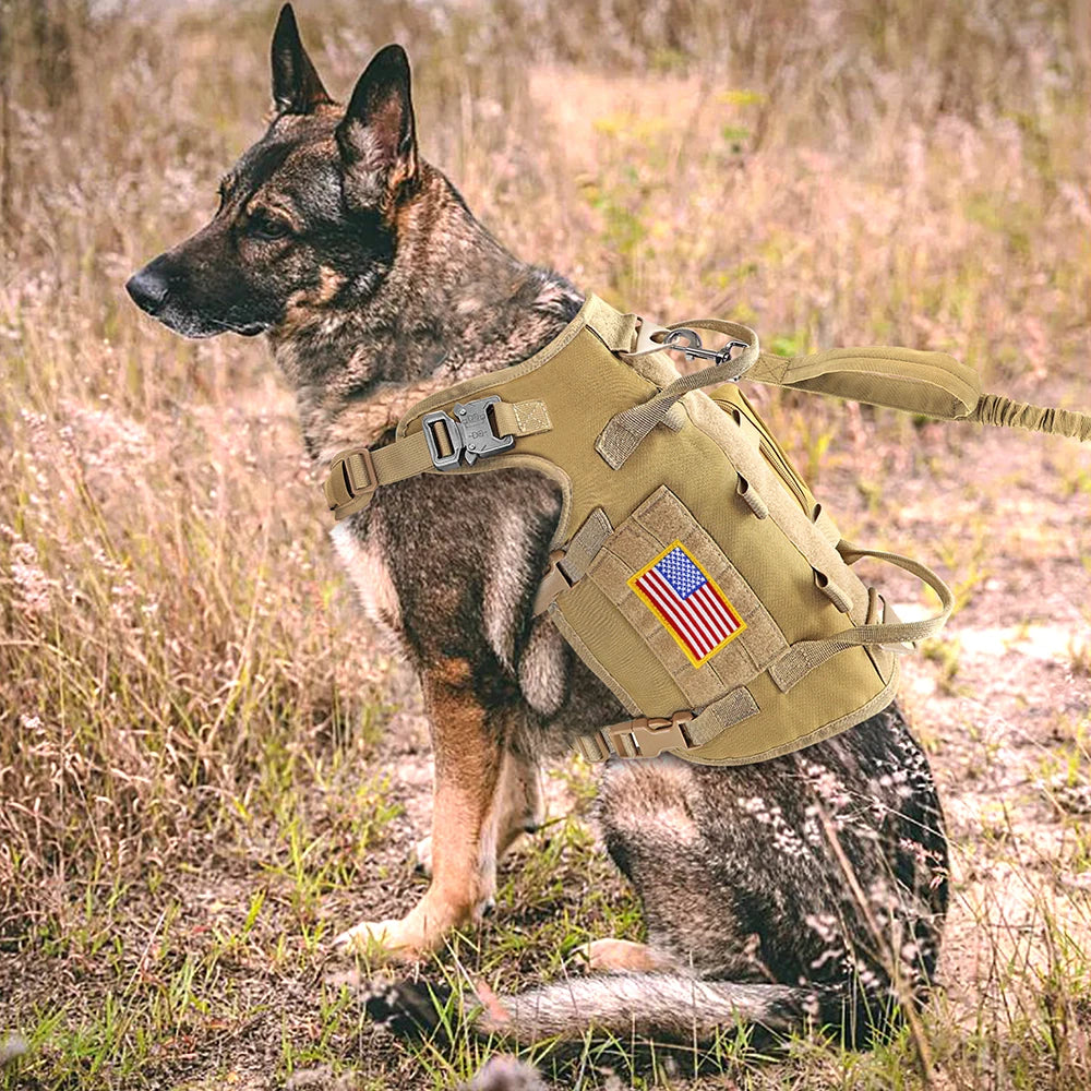 Military Tactical Dog Harness and Leash Set - Large Dogs Training Vest with Pouch - Pet Bungee Leash with 2 Handles - Happy Tail Center