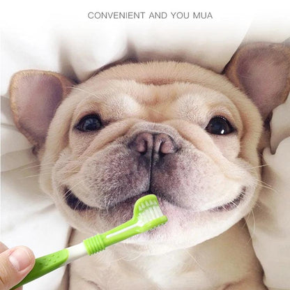 Dental Care Three Heads Dog Toothbrush | Keep Your Pet's Smile Bright - Happy Tail Center