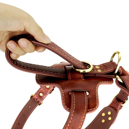 Durable Personalized Dog Harness Vest with Anti-Lost Tag & Handle - For Medium & Larg - Happy Tail Center (View 7)