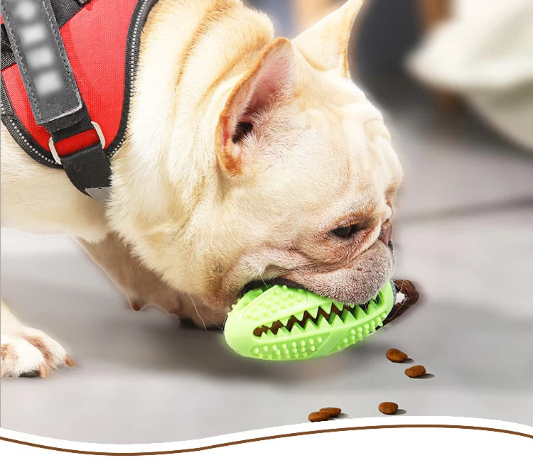 Interactive Chew Toy - Natural Rubber Ball & Food Dispenser for Playful Pets! - Happy Tail Center