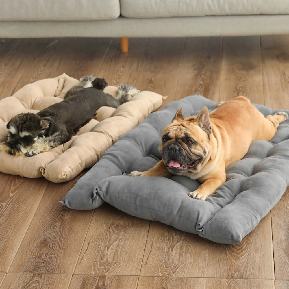 CozyNest 3-in-1 Pet Bed Mat | Ultimate Sleeping Solution for Your Furry Friend - Happy Tail Center