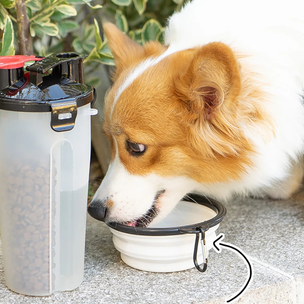 Portable Pet Dog Water Bottle - Water Bowl for Dogs, Cats, and Small Pets - Happy Tail Center