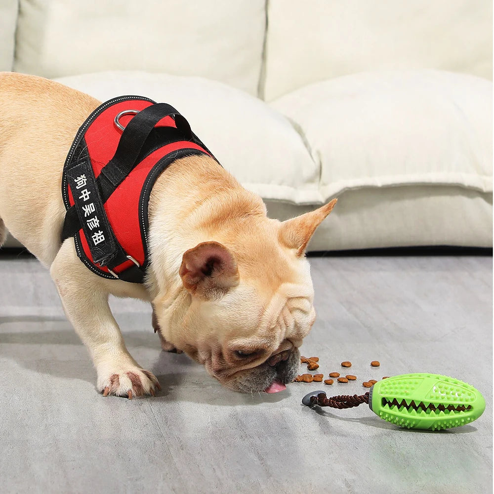 Interactive Chew Toy - Natural Rubber Ball & Food Dispenser for Playful Pets! - Happy Tail Center