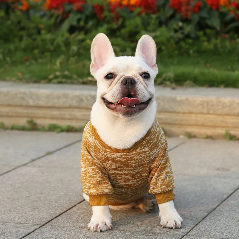 Winter Hoodies & Sweaters for Small to Medium Dogs - Warm Clothing for French Bulldog, Chihuahua, Yorkie - Happy Tail Center