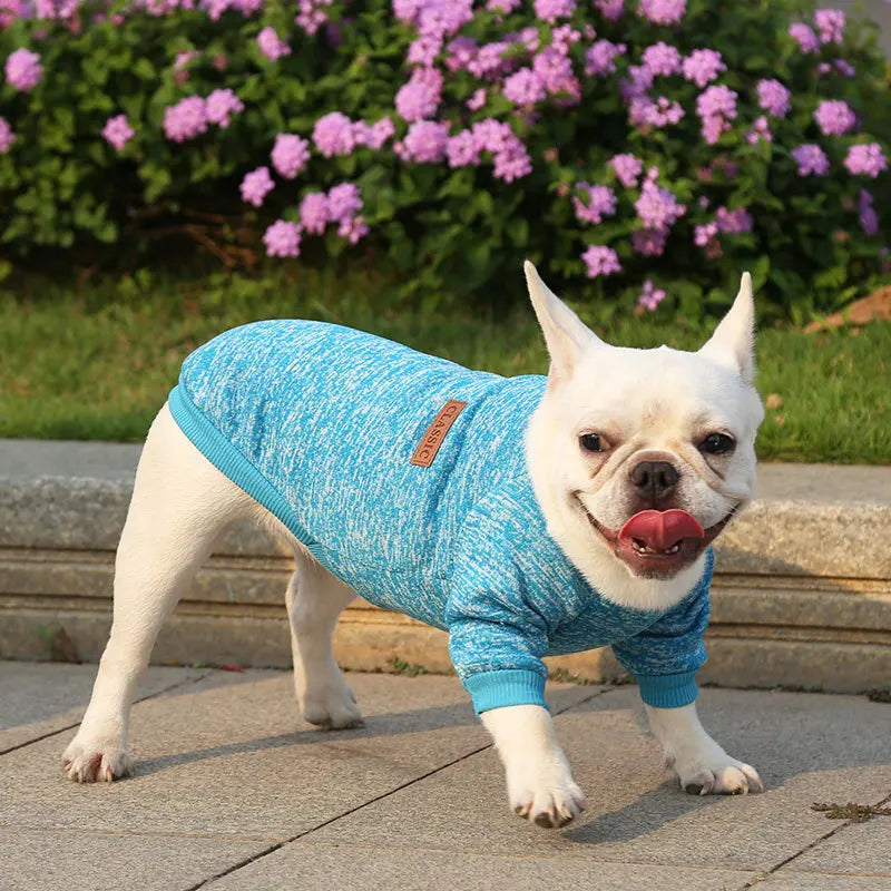 Winter Hoodies & Sweaters for Small to Medium Dogs - Warm Clothing for French Bulldog, Chihuahua, Yorkie - Happy Tail Center