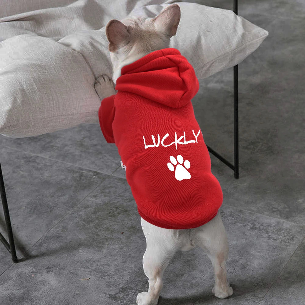 Personalized Dog Hoodie – Soft Cotton Pet Name Clothing for Dogs and Cats - Happy Tail Center