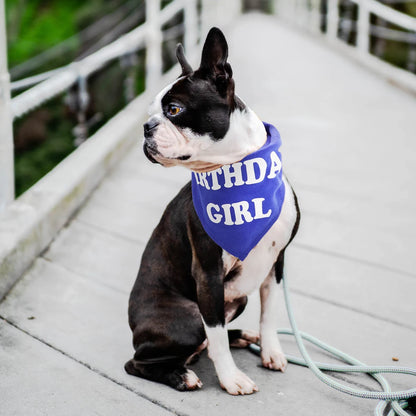 Personalized Dog Bandanas - Custom Cotton Pet Scarves with Bow Ties for Dogs and Cats