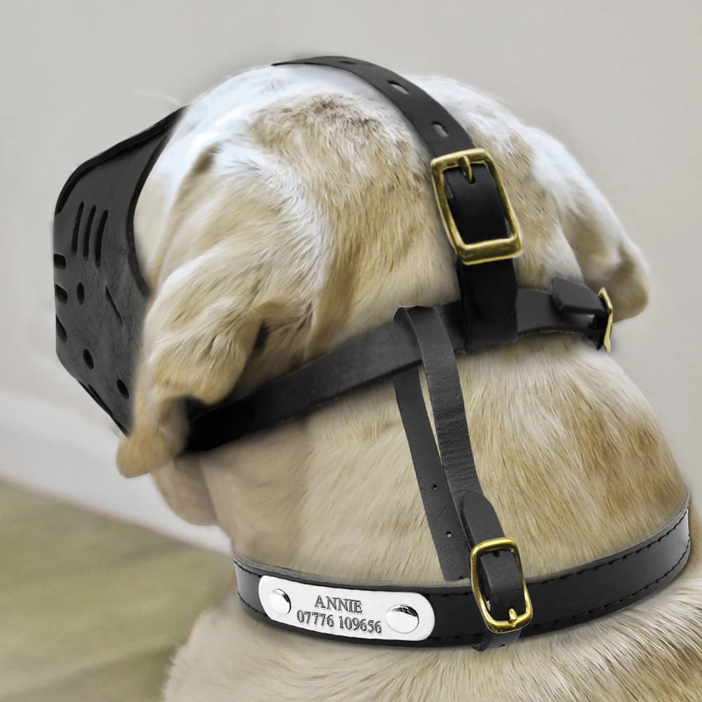 Real Leather Dog Muzzle – Anti-Bite Training Muzzle for Medium and Large Dogs - Happy Tail Center