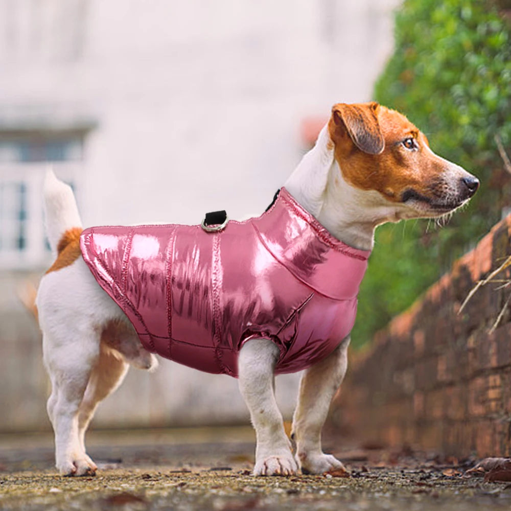 Waterproof Winter Jacket for Small Dogs: Keep Your Furry Friend Warm and Dry! - Happy Tail Center