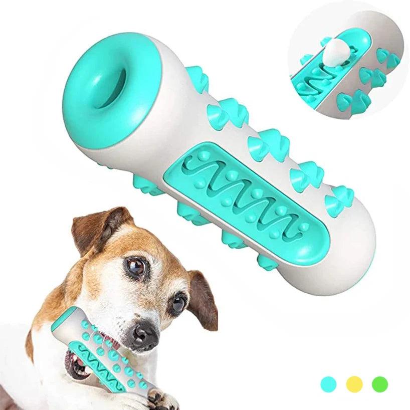 Dog Molar Toothbrush Toy | Keep Your Dog's Teeth Clean and Healthy - Happy Tail Center