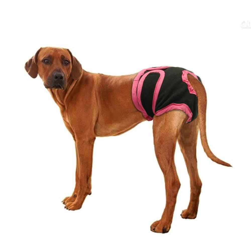 Female Dog Diaper Shorts - Puppy Physiological Pants for Small & Medium Dogs