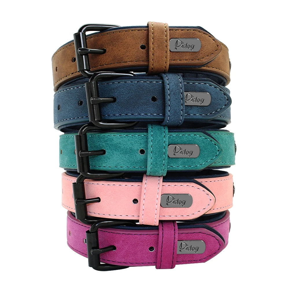 Soft Padded Leather Dog Collar for Small, Medium & Big Dogs - Happy Tail Center