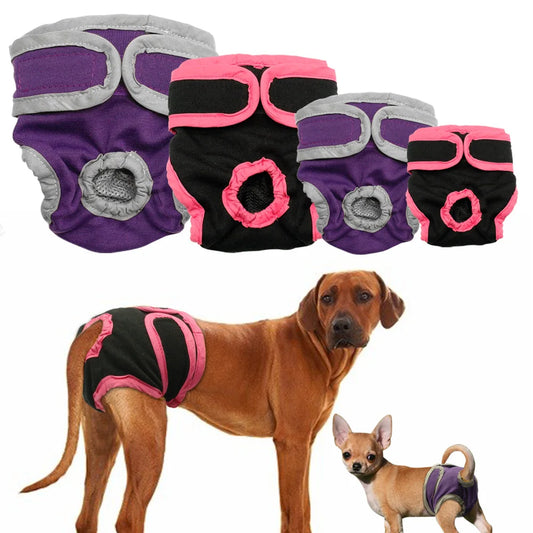 Female Dog Diaper Shorts - Puppy Physiological Pants for Small & Medium Dogs