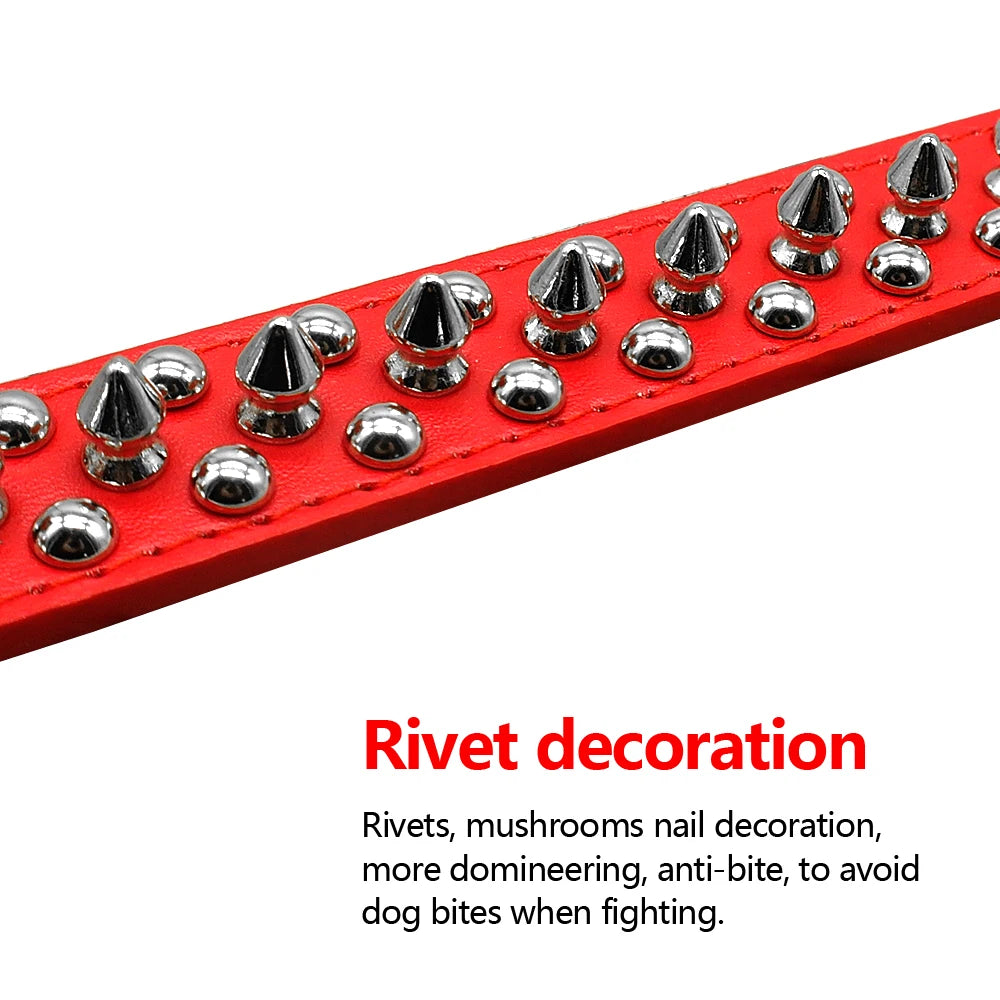 Spiked Studded Leather Collar - For Small to Medium Dogs