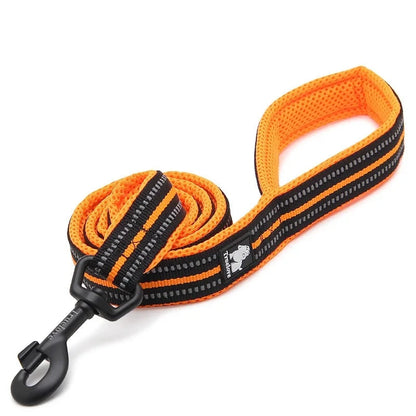 Soft Reflective Pet Leash and Harness Set - Nylon Mesh for Walking and Training - View 7 - Happy Tail Center