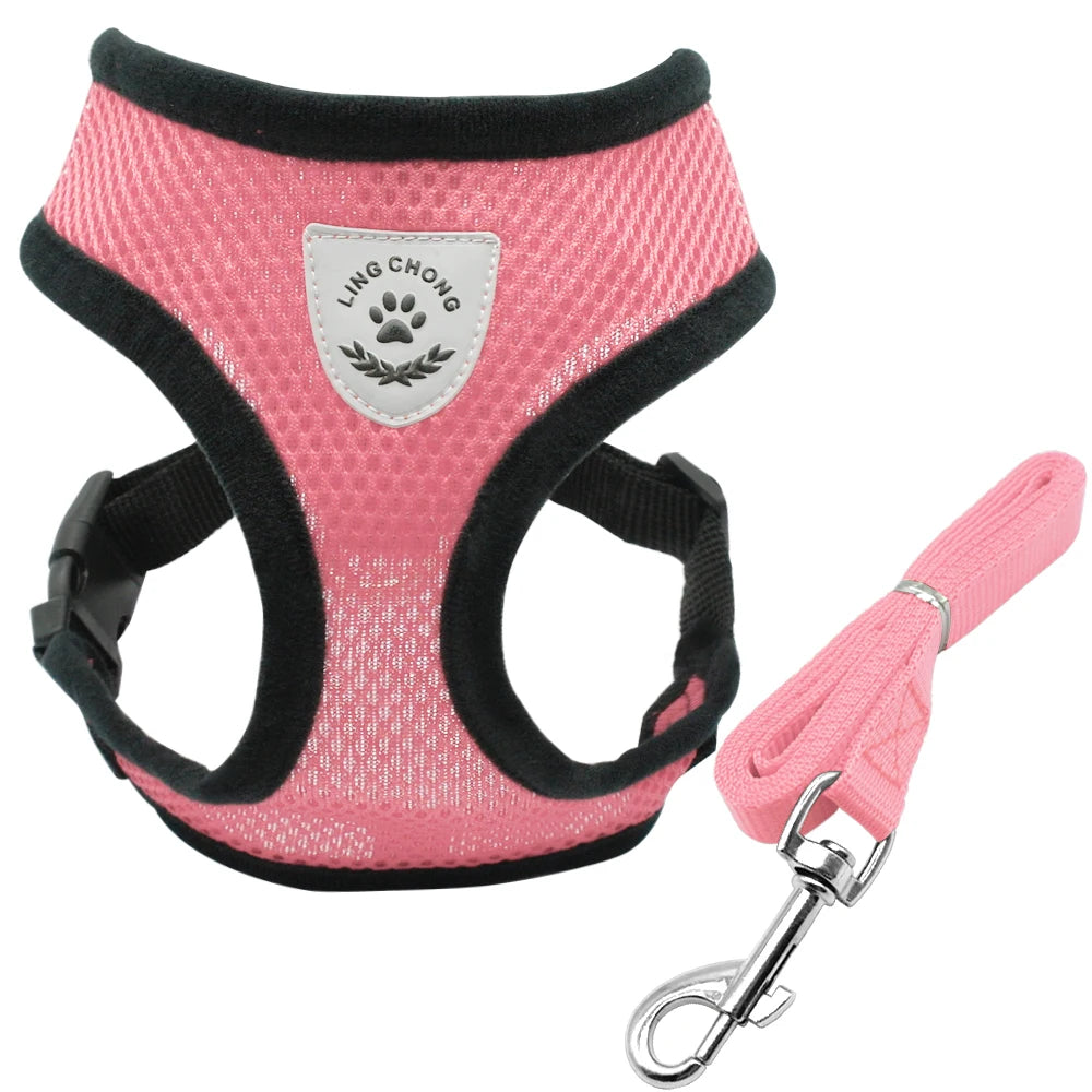 Breathable Reflective Mesh Cat Harness and Leash Set - Ideal for Kittens, Small Dogs - Happy Tail Center