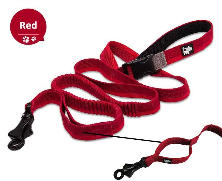 Adjustable Nylon Bungee Dog Leash | Hand-Held or Waist-Worn Retractable Lead for Running, Jogging, and Walking - Happy Tail Center