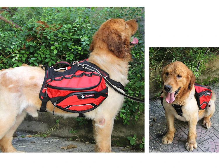 Waterproof Detachable Pet Backpack Carrier and Harness: Keep Your Pet Safe and Comfortable! - Happy Tail Center