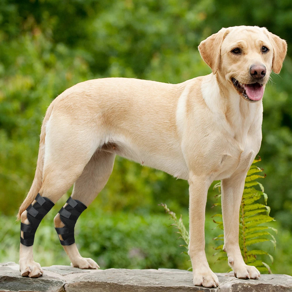 CanineCare Rear Leg Support Brace | Essential Aid for Pet Recovery - Happy Tail Center