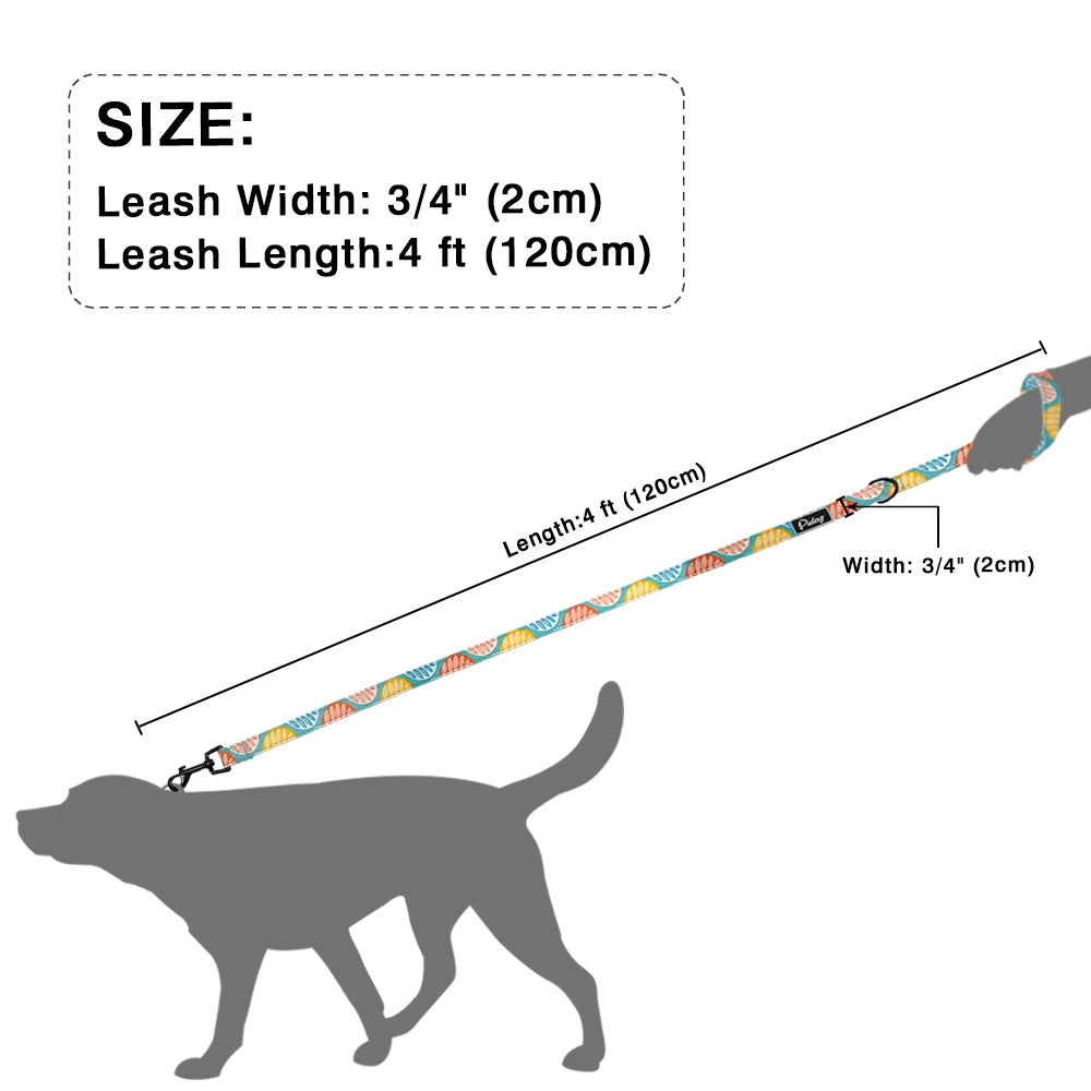 4ft Fashion Pattern Dog Leash | Stylish Printed Nylon Leash for Small to Medium Dogs - Happy Tail Center