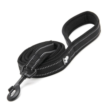 Soft Reflective Pet Leash and Harness Set - Nylon Mesh for Walking and Training - View 15 - Happy Tail Center