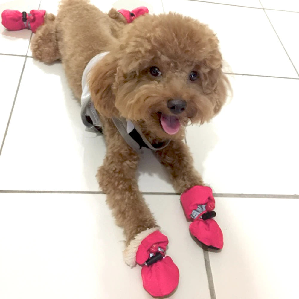 PawGuard Waterproof Dog Shoes - Happy Tail Center