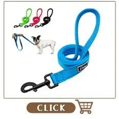 4ft Fashion Pattern Dog Leash | Stylish Printed Nylon Leash for Small to Medium Dogs - Happy Tail Center