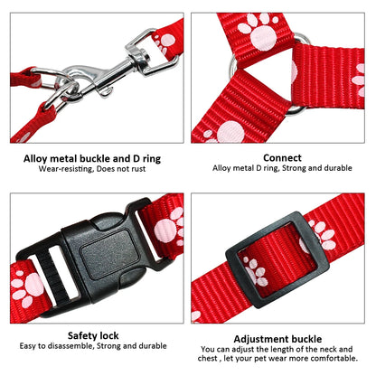 PawPrint Puppy Harness and Leash Set - Safety and Style for Your Little Pup! - Happy Tail Center
