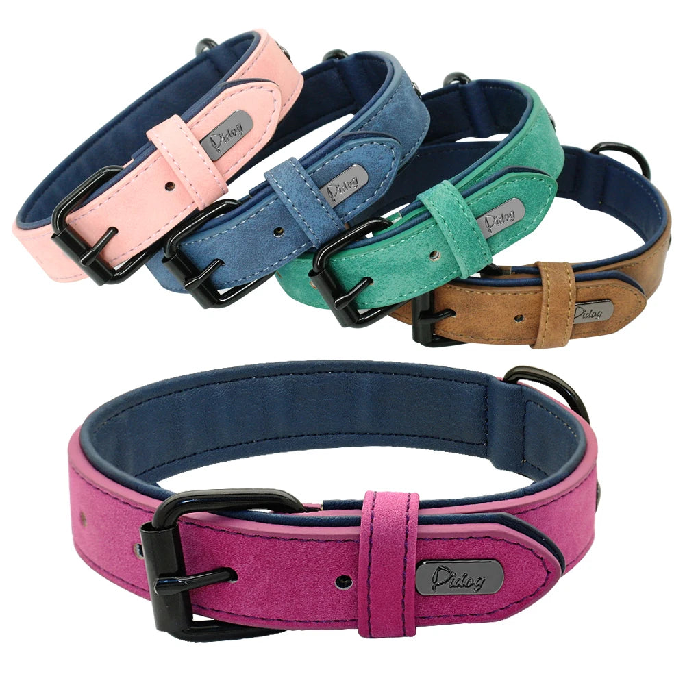 Soft Padded Leather Dog Collar for Small, Medium & Big Dogs - Happy Tail Center