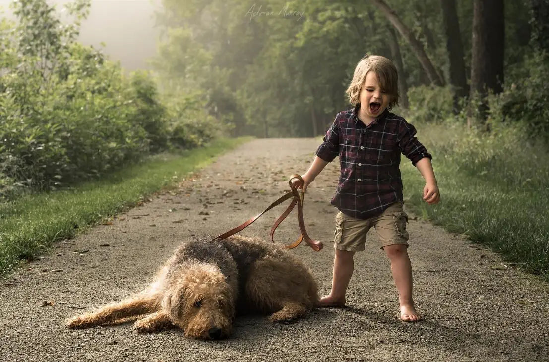 Genuine Leather Dog Leash - Durable Training Lead for Large Breeds