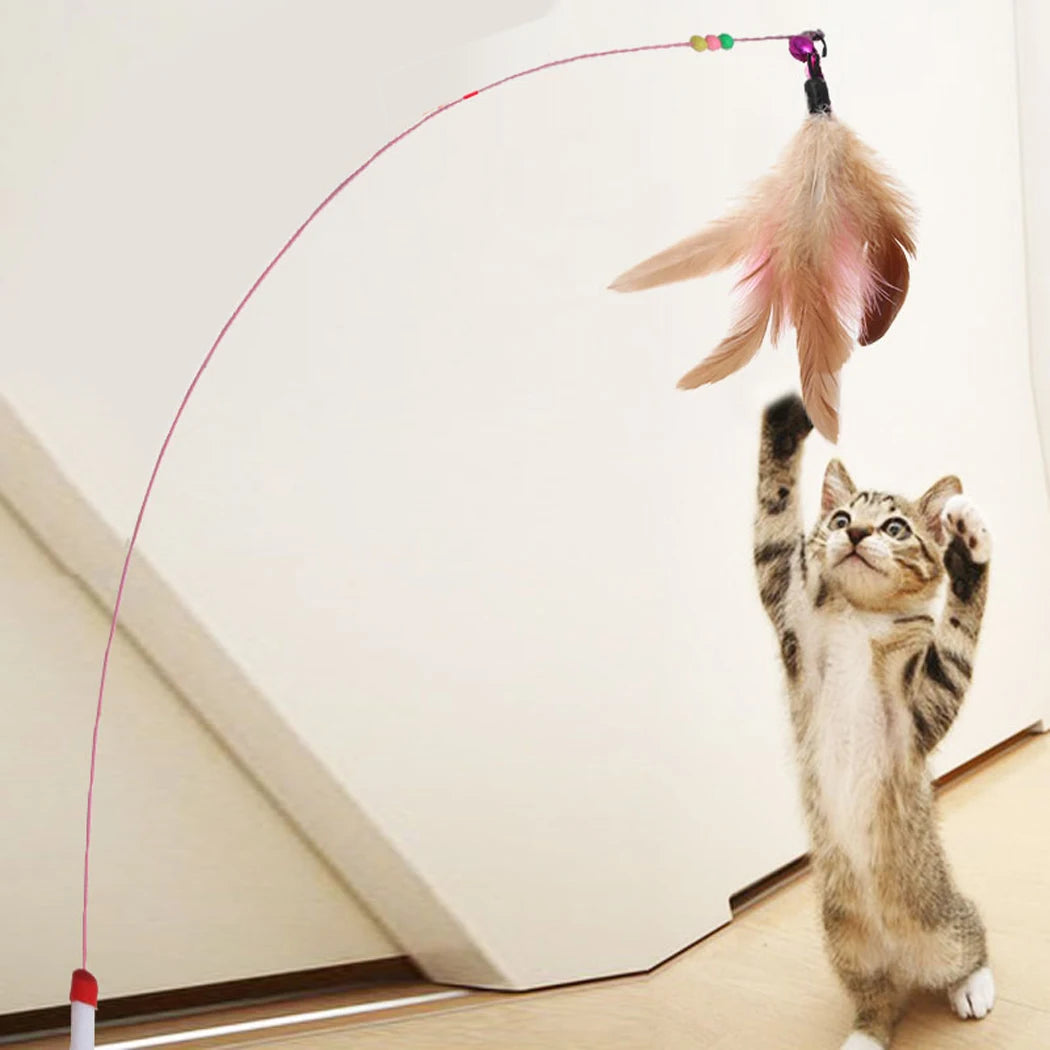 Cat Feather Wand Toy with Bell | Colorful Mouse Cage Teaser for Fun Interactive Play