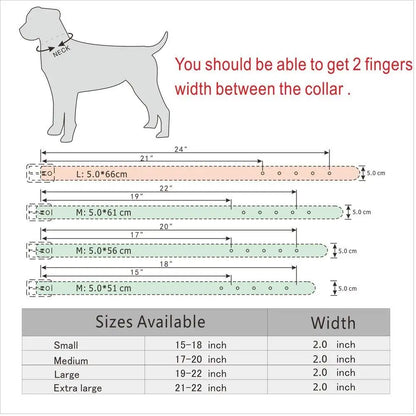 Cool Spiked Dog Collar | Studded Leather Collar for Large Dogs - Happy Tail Center