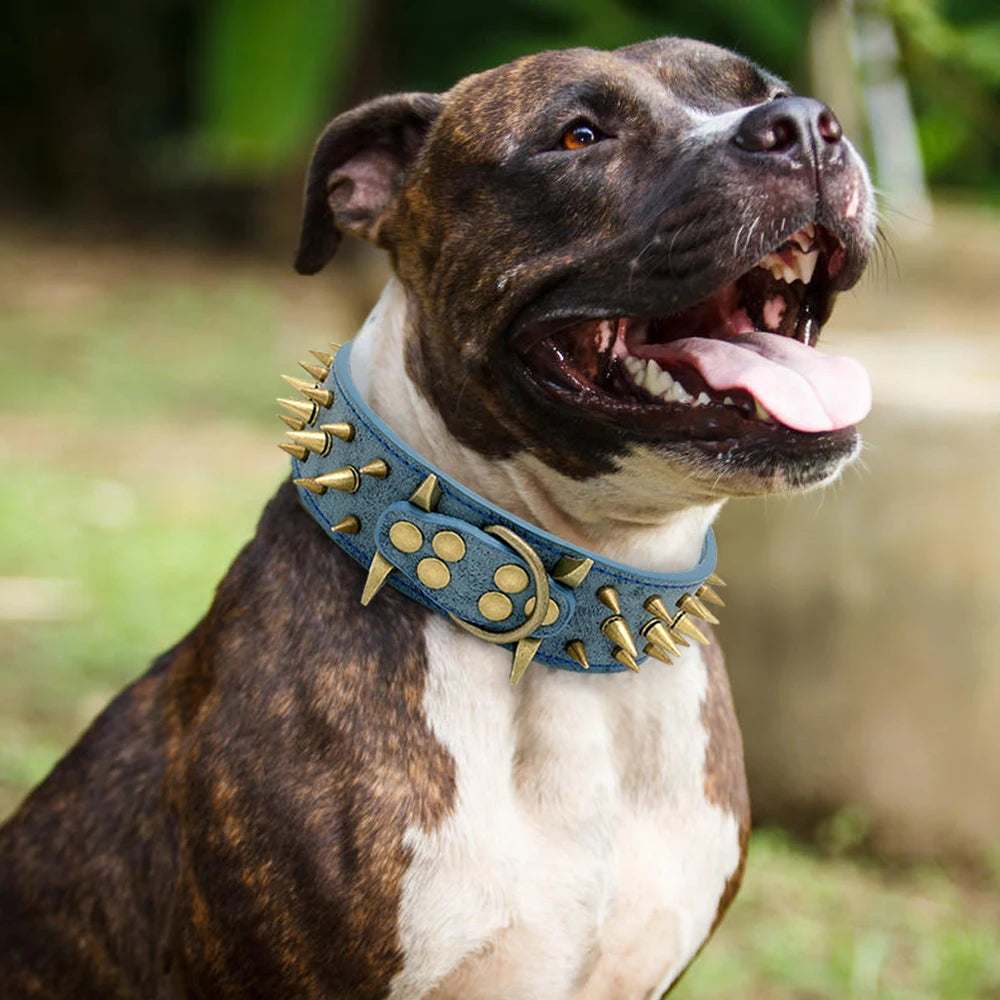 Cool Spiked Dog Collar | Studded Leather Collar for Large Dogs - Happy Tail Center